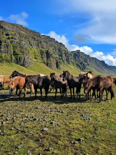 Sky Retreat & Private Jacuzzi - 6