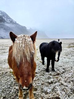 Sky Retreat & Private Jacuzzi - 8
