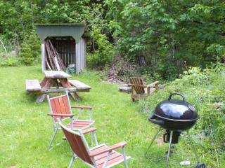 Secluded Cabin Rental near Mount Rainier National Park in Washington - 1