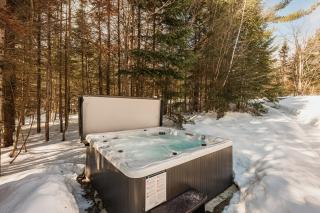 Fiddler Lake Resort Chalet 41 Cerf avec piscine - 7