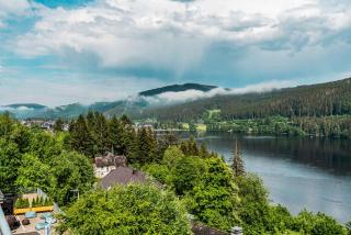 Apartments in Titisee-Neustadt - Schwarzwald 39898 - 9