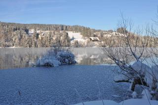 Apartments in Titisee-Neustadt - Schwarzwald 39898 - 6