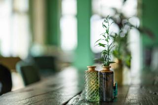 Apartments in Titisee-Neustadt - Schwarzwald 39898 - 2