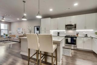 Sophisticated 1BD Apt HWY121 McKinney - MCK212 - 1