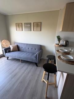 Departamento Viña del Mar - Cerro Placeres - 8