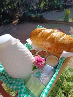 Do sítio cabana - 8