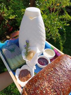 Do sítio cabana - 9