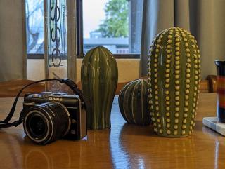 A Comfy & Cozy Southwest Haven, Near Downtown PHX - 2