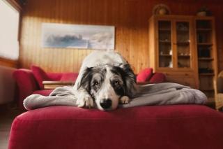 Ferienhaus Barbara - 9