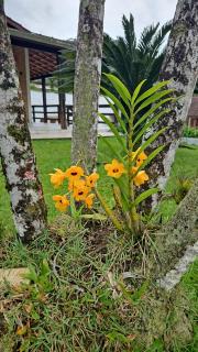 Casa com piscina - 8