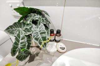 Supersized Studio Inexpensive 1x1 - 6