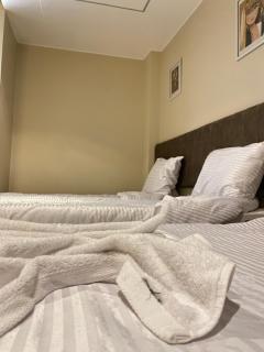 Pyramids Hotel & Free pickup shuttle - 2