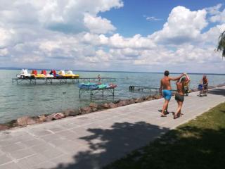 Apartments in Siofok - Balaton 53496 - 1