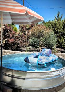 Downtown Hagerman Hot Springs Getaway - 3