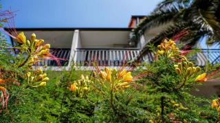 Apartments in Zdrelac - Insel Pasman 31078 - Ždrelac - 7