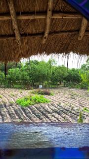 Wassado Cultural Resort - 9