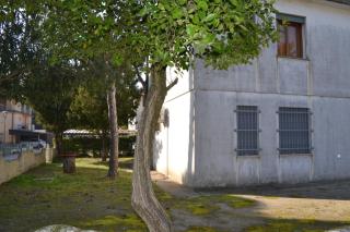 Apartment in Rosolina Mare 35639 - 7