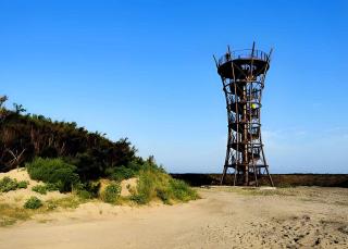 Apartment in Rosolina Mare 35639 - 2