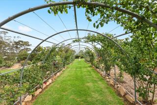 Glenrose Cottages - 5