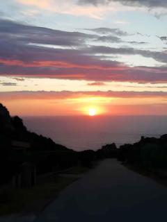 Holiday home in Costa Paradiso 41963 - 2