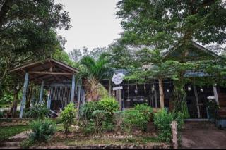 Hill Station Hostel at Chor Chaba - Koh Kood - 0