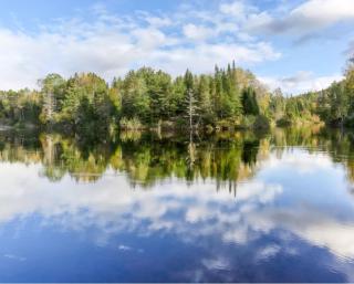 Chalet COEUR de loup avec spa - 8