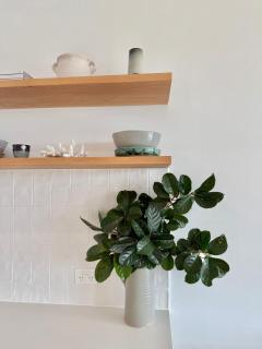 Alby’s - Cotton Tree - 4