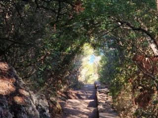 Your house at Setúbal city center - 2