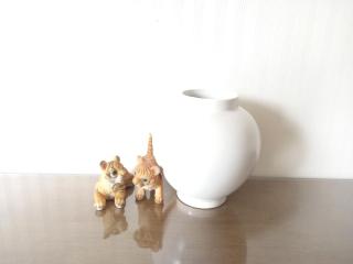 Black Tiger house - 7