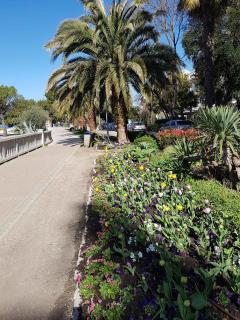 Apartment in Crikvenica 50290 - 1