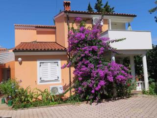 Apartments in Premantura - Istrien 34773 - 4