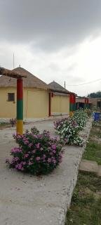 Rann roshni homestay - 4