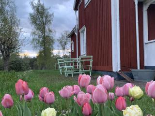 5 person holiday home in FLISBY - 4