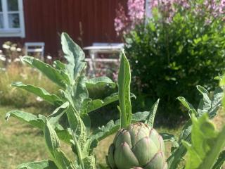 5 person holiday home in FLISBY - 1