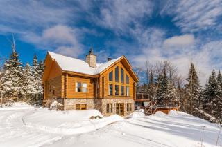 Fiddler Lake Resort Chalet 84 Deer - 8