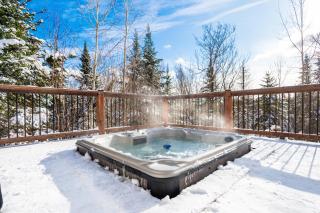 Fiddler Lake Resort Chalet 84 Deer - 6