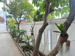 Little White Pavilion - 8