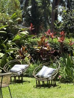 Temporario yerba buena country - 8