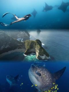 Little White Pavilion - 1