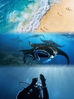 Little White Pavilion - 2