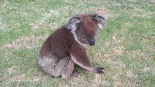 Tucked Away Chalet - Stunning Bathroom - 1