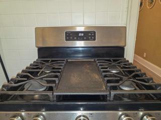 Cute 2 Bedroom Apartment 7 minutes from the falls! - 7