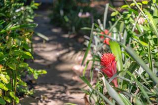 Madeira Secluded Cottage 5-Min walk to Amphitheater, lighthouse, downtown - 7