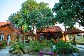 Tam Coc Minh Quan Homestay - 5