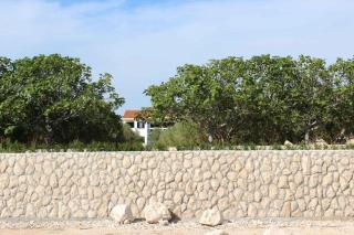 Apartments in Privlaka - Zadar Riviera 49934 - 2