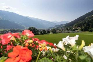 Apartments in Kaltenbach - Zillertal 751 - 1