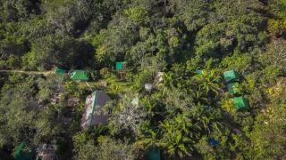 Tronco Tambopata Adventure - 0