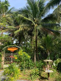 Bến Tre Homestay - 9