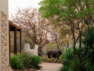 Elements Bush Villa 295 - 5