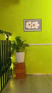 The Sun Homestay - 7